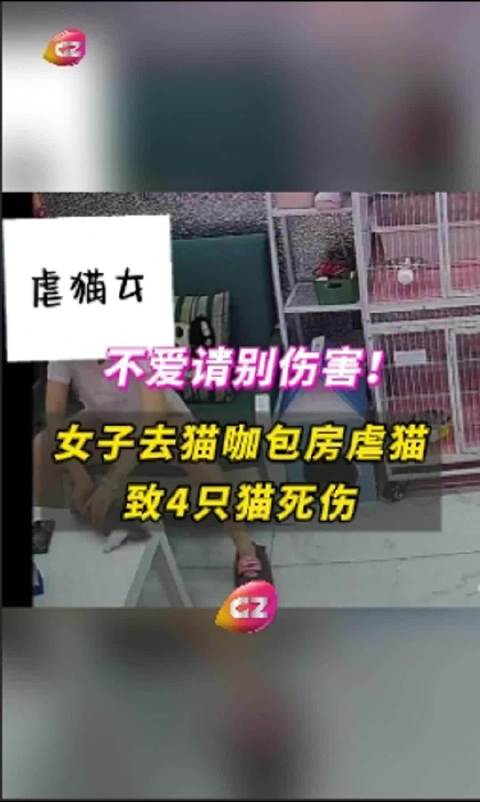 游戏专题 第229页