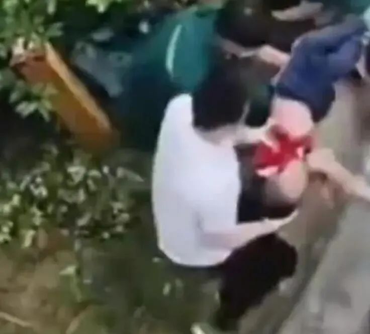 游戏专题 第220页